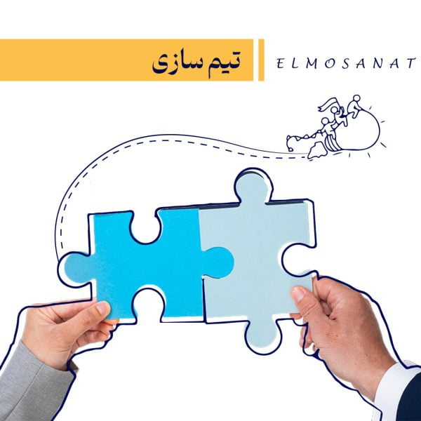 دوره آموزشی تیم سازی در سازمان